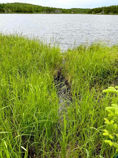 Tiny photo for TBD Onagon Lake Rd, Grand Marais, MN 55604 (MLS # 6126688)