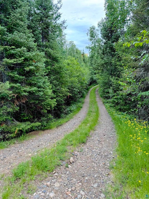 Tiny photo for TBD Onagon Lake Rd, Grand Marais, MN 55604 (MLS # 6126688)