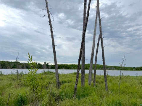 Tiny photo for TBD Onagon Lake Rd, Grand Marais, MN 55604 (MLS # 6126688)