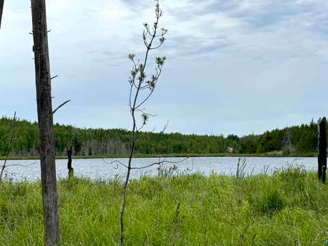 Tiny photo for TBD Onagon Lake Rd, Grand Marais, MN 55604 (MLS # 6126688)
