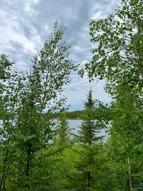 Tiny photo for TBD Onagon Lake Rd, Grand Marais, MN 55604 (MLS # 6126688)