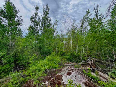 Tiny photo for TBD Onagon Lake Rd, Grand Marais, MN 55604 (MLS # 6126688)