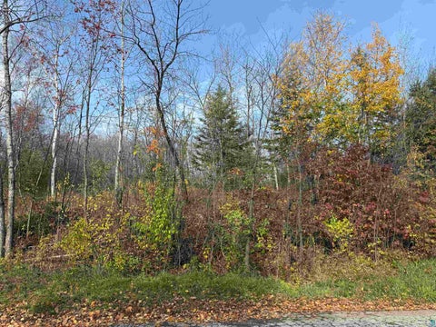 Tiny photo for 26 W 10th St, Duluth, MN 55806 (MLS # 6128729)