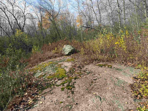 Tiny photo for 26 W 10th St, Duluth, MN 55806 (MLS # 6128729)