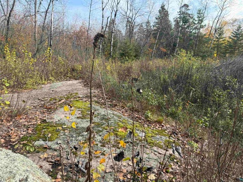Tiny photo for 26 W 10th St, Duluth, MN 55806 (MLS # 6128729)