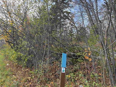 Tiny photo for 26 W 10th St, Duluth, MN 55806 (MLS # 6128729)