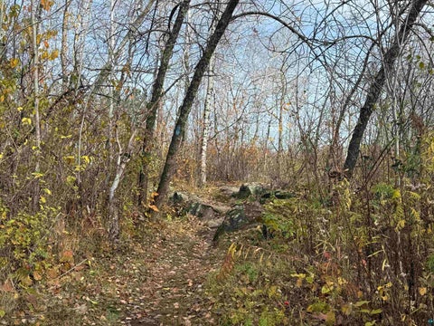 Tiny photo for 26 W 10th St, Duluth, MN 55806 (MLS # 6128729)