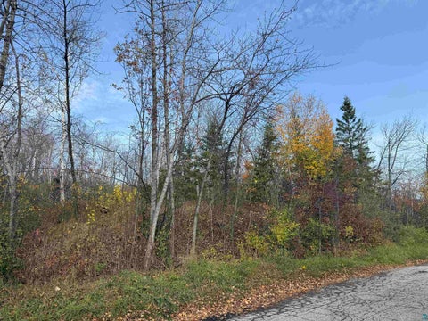 Tiny photo for 26 W 10th St, Duluth, MN 55806 (MLS # 6128729)