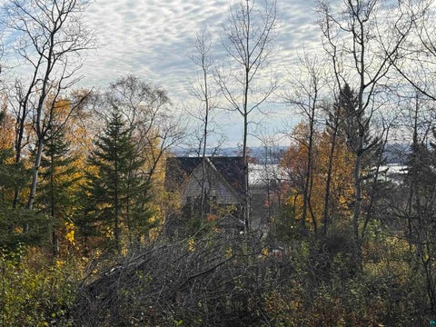Tiny photo for 26 W 10th St, Duluth, MN 55806 (MLS # 6128729)