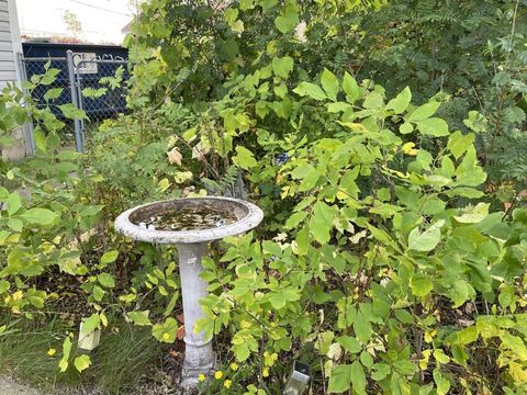 Tiny photo for 324 S 4th Ave E Ave, Ely, MN 55731 (MLS # 6122204)