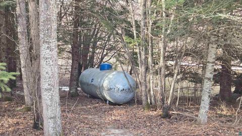 Tiny photo for 2785 County Rd 962, Orr, MN 55771 (MLS # 6124305)