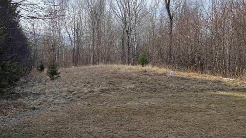 Tiny photo for 2785 County Rd 962, Orr, MN 55771 (MLS # 6124305)