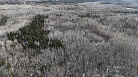 Tiny photo for 2785 County Rd 962, Orr, MN 55771 (MLS # 6124305)