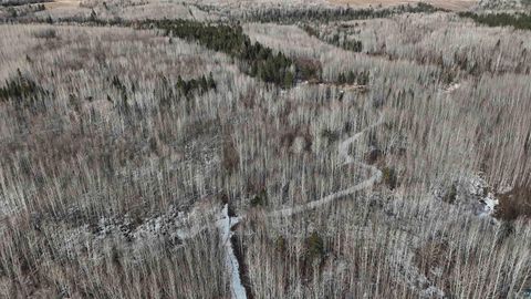 Tiny photo for 2785 County Rd 962, Orr, MN 55771 (MLS # 6124305)