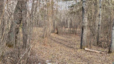 Tiny photo for 2785 County Rd 962, Orr, MN 55771 (MLS # 6124305)