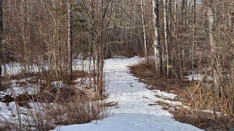 Tiny photo for 2785 County Rd 962, Orr, MN 55771 (MLS # 6124305)