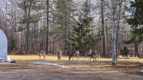 Tiny photo for 2785 County Rd 962, Orr, MN 55771 (MLS # 6124305)