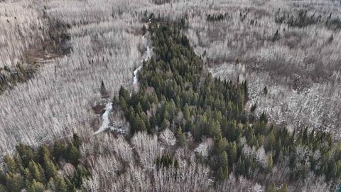 Tiny photo for 2785 County Rd 962, Orr, MN 55771 (MLS # 6124305)