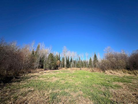 Tiny photo for 8624 Zim Rd, Zim, MN 55738 (MLS # 6122647)