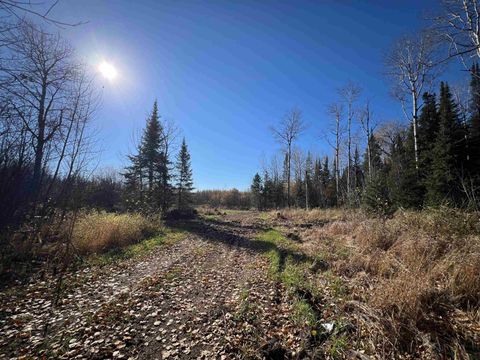 Tiny photo for 8624 Zim Rd, Zim, MN 55738 (MLS # 6122647)