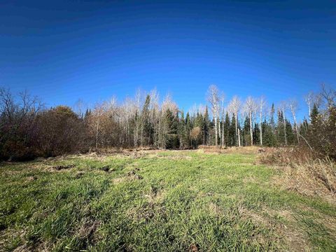 Tiny photo for 8624 Zim Rd, Zim, MN 55738 (MLS # 6122647)