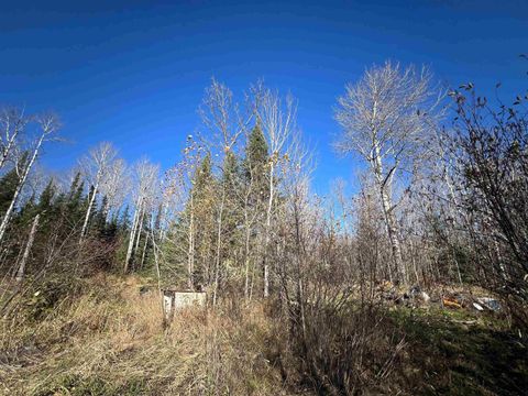 Tiny photo for 8624 Zim Rd, Zim, MN 55738 (MLS # 6122647)