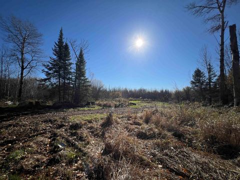 Tiny photo for 8624 Zim Rd, Zim, MN 55738 (MLS # 6122647)