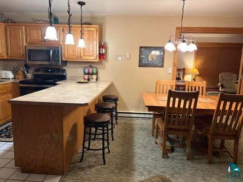 Tiny photo for 1590 Superior Shores #107, Two Harbors, MN 55616 (MLS # 6127386)