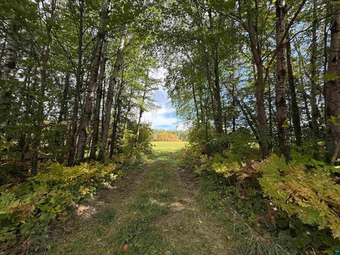 Tiny photo for Xxxx Johnson Rd, Floodwood, MN 55736 (MLS # 6128088)