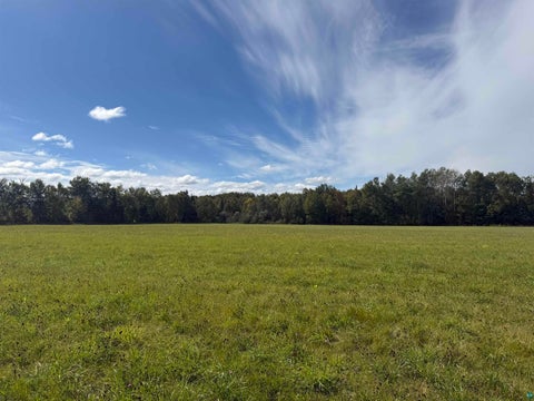 Tiny photo for Xxxx Johnson Rd, Floodwood, MN 55736 (MLS # 6128088)