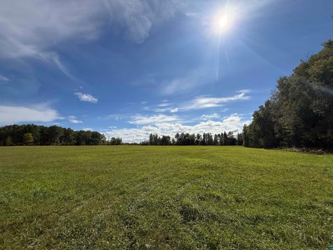 Photo of Xxxx Johnson Rd, Floodwood, MN 55736 (MLS # 6128088)