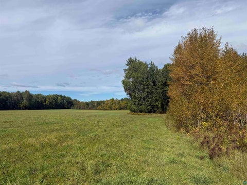 Tiny photo for Xxxx Johnson Rd, Floodwood, MN 55736 (MLS # 6128088)