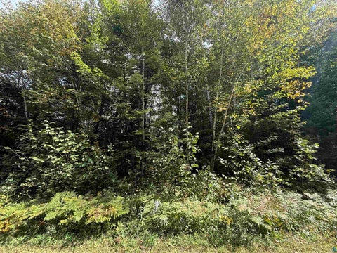 Tiny photo for Xxxx Johnson Rd, Floodwood, MN 55736 (MLS # 6128088)