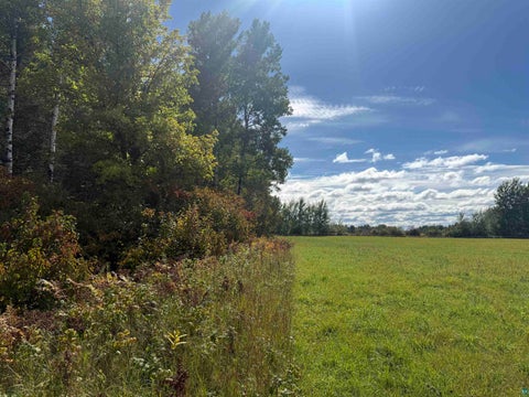 Tiny photo for Xxxx Johnson Rd, Floodwood, MN 55736 (MLS # 6128088)