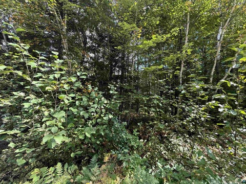Tiny photo for Xxxx Johnson Rd, Floodwood, MN 55736 (MLS # 6128088)