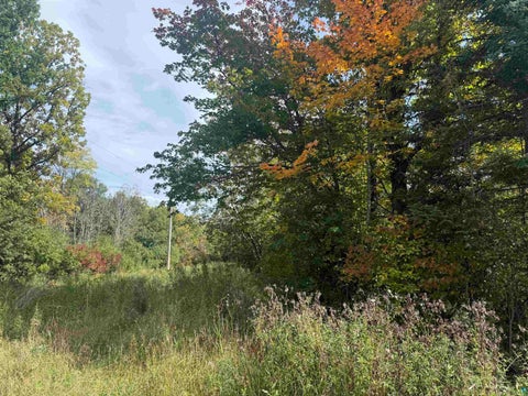 Tiny photo for Xxxx Johnson Rd, Floodwood, MN 55736 (MLS # 6128088)