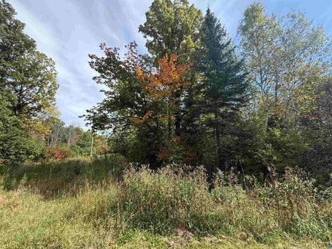 Tiny photo for Xxxx Johnson Rd, Floodwood, MN 55736 (MLS # 6128088)