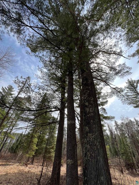 Tiny photo for XXXX Camp House Rd, Brimson, MN 55602 (MLS # 6124779)
