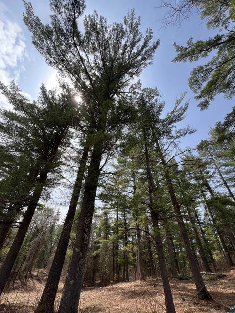Photo of XXXX Camp House Rd, Brimson, MN 55602 (MLS # 6124779)