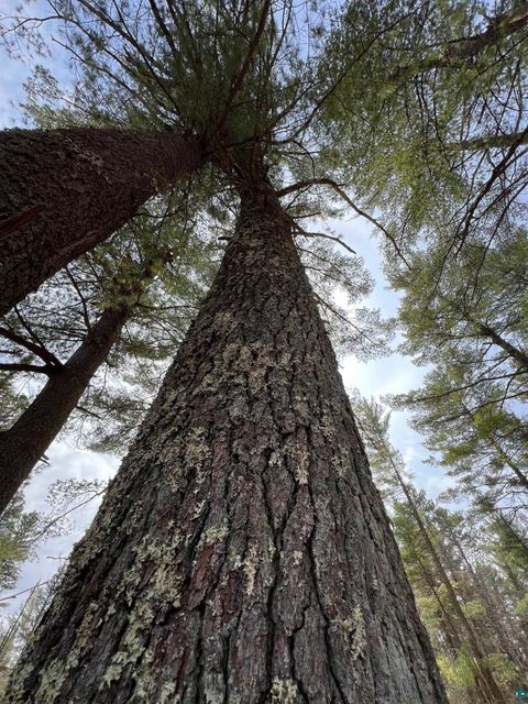 Tiny photo for XXXX Camp House Rd, Brimson, MN 55602 (MLS # 6124779)
