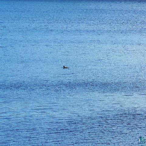 Tiny photo for 10028 Gunflint Tr, Grand Marais, MN 55604 (MLS # 6126948)
