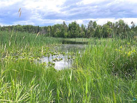 Tiny photo for 116 Fall Lake Dr, Winton, MN 55732 (MLS # 6127075)