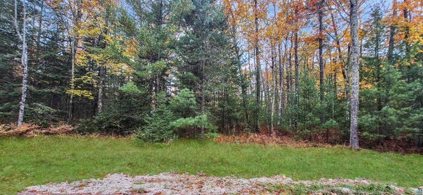 ADDRESS PRIVATE, LA POINTE, WI 54850 - Image bbcf147b24713fe2fc62dfc1a9ec690f/1482096672