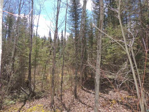 Tiny photo for 76 Gunflint Tr, Grand Marais, MN 55604 (MLS # 6125140)