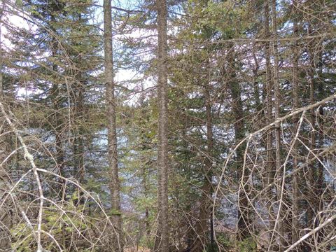 Tiny photo for 76 Gunflint Tr, Grand Marais, MN 55604 (MLS # 6125140)