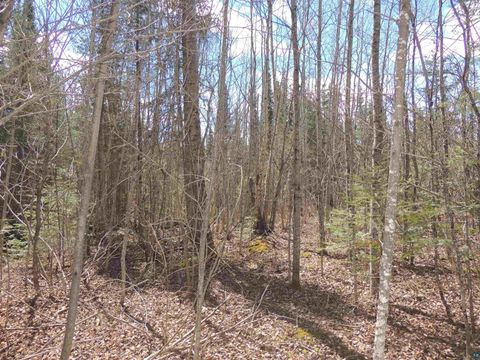 Tiny photo for 76 Gunflint Tr, Grand Marais, MN 55604 (MLS # 6125140)