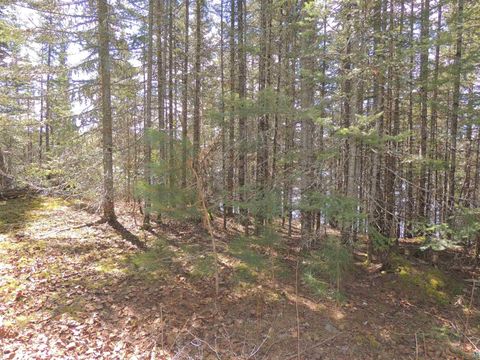 Tiny photo for 76 Gunflint Tr, Grand Marais, MN 55604 (MLS # 6125140)