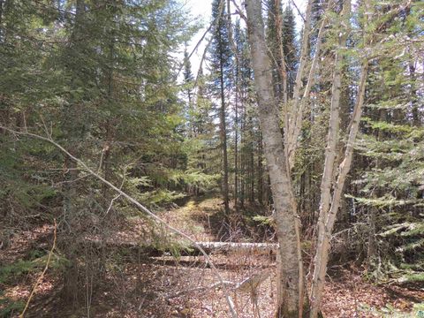 Tiny photo for 76 Gunflint Tr, Grand Marais, MN 55604 (MLS # 6125140)