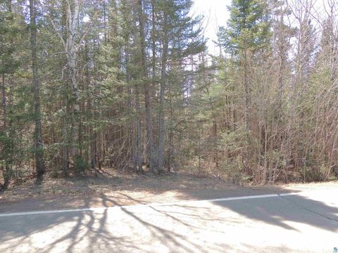 Tiny photo for 76 Gunflint Tr, Grand Marais, MN 55604 (MLS # 6125140)