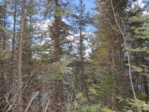 Tiny photo for 76 Gunflint Tr, Grand Marais, MN 55604 (MLS # 6125140)